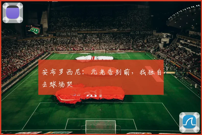 安布罗西尼：元老告别前，我独自去球场哭