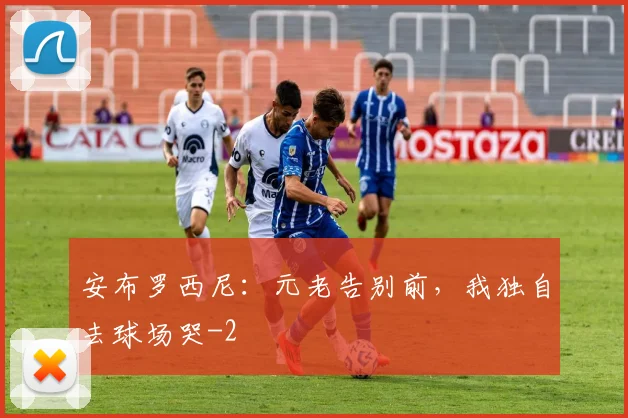 安布罗西尼：元老告别前，我独自去球场哭