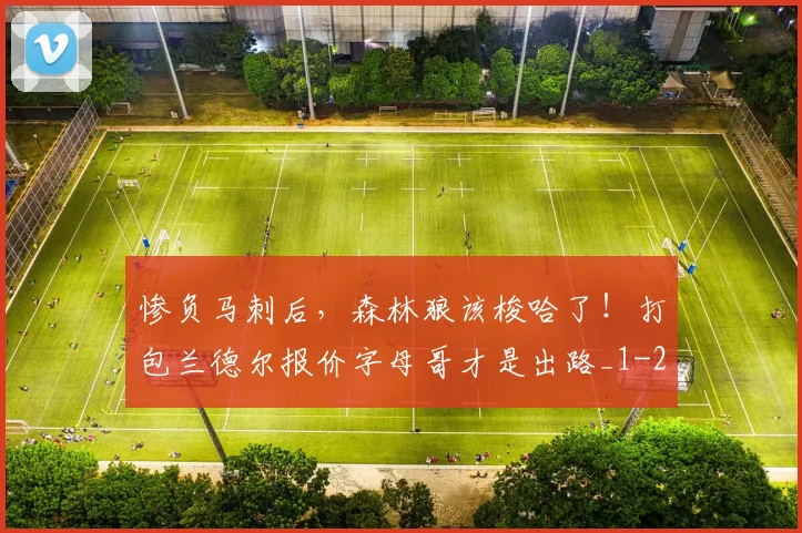 惨负马刺后，森林狼该梭哈了！打包兰德尔报价字母哥才是出路_1