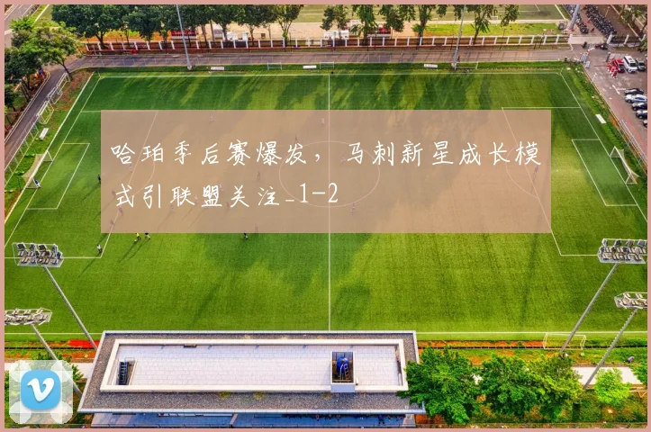 哈珀季后赛爆发，马刺新星成长模式引联盟关注_1