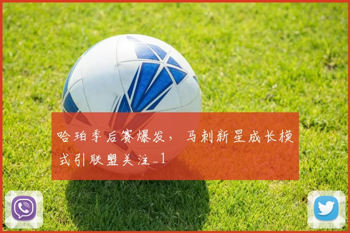 哈珀季后赛爆发，马刺新星成长模式引联盟关注_1