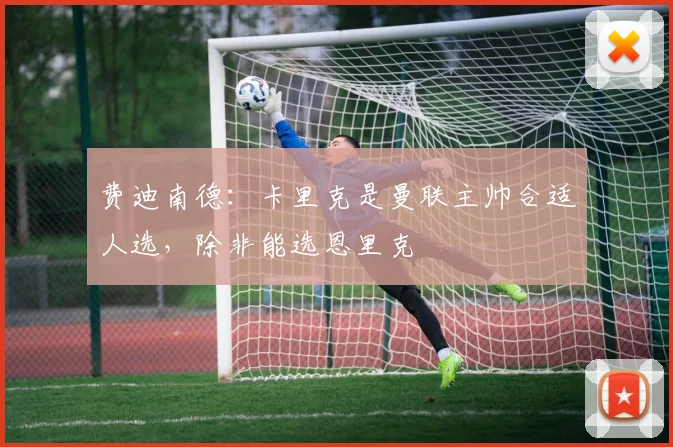 费迪南德：卡里克是曼联主帅合适人选，除非能选恩里克